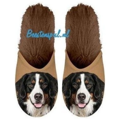 Berner Sennen Pantoffel set