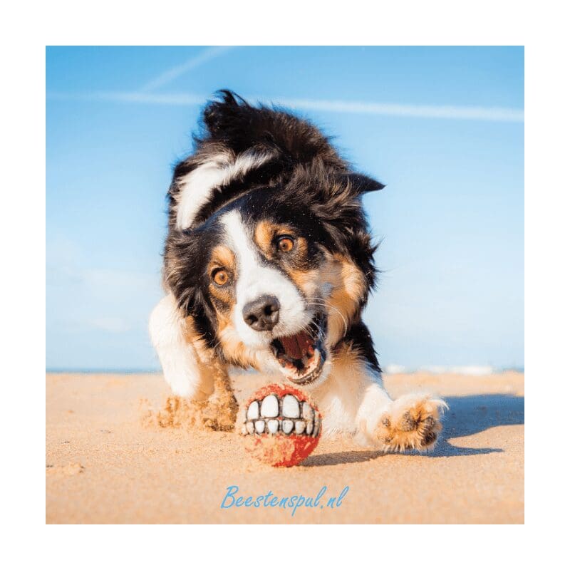 Rogz for Dogz - Grinz Ball 2 Rogz for Dogz - Grinz Ball - Afbeelding 2