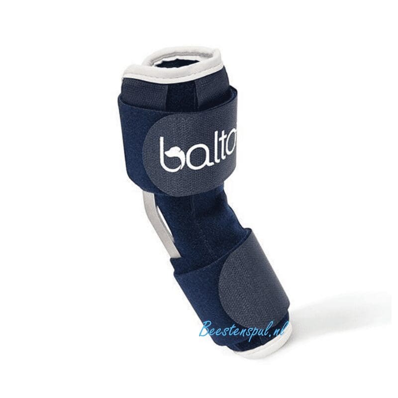 Balto - Brace Hiel (Hock) 2 Balto - Brace Hiel (Hock) - Afbeelding 2