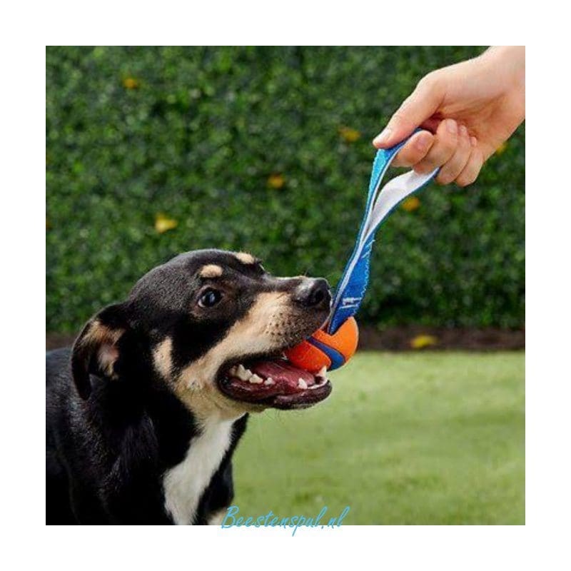 Chuckit - Ultra Tug - Beestenspul dierensport en -kadoartikelen
