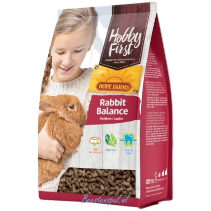 Hobby First - Rabbit Balance