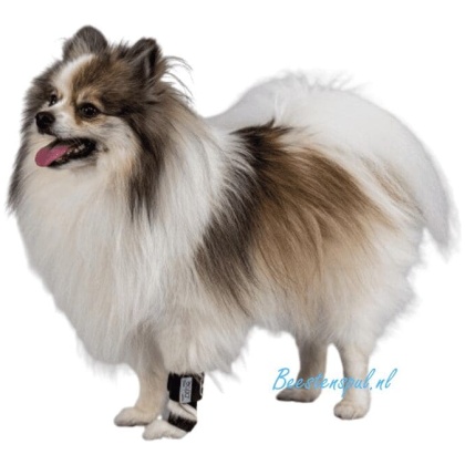 Balto - Brace Pols en Voet (Splint)