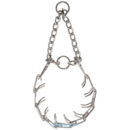 Trainingshalsband - Chroom