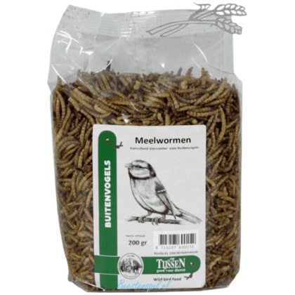 Tijssen - Meelwormen