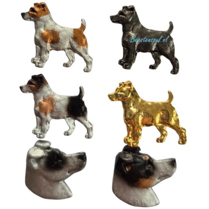 Pinbroche - Jack Russell Terrier