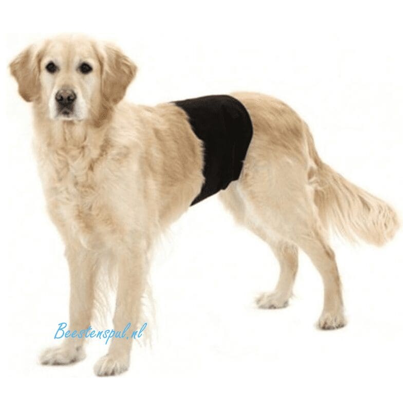 Flamingo - Reuenbroek - Gentleman Wrap 1 Flamingo - Reuenbroek - Gentleman Wrap