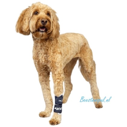 Balto - Brace Pols (Joint)