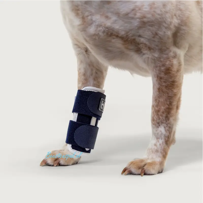 Balto - Brace Pols (Joint) 5 Balto - Brace Pols (Joint) - Afbeelding 5