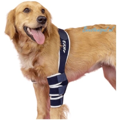 Balto - Brace Elleboog (Soft)