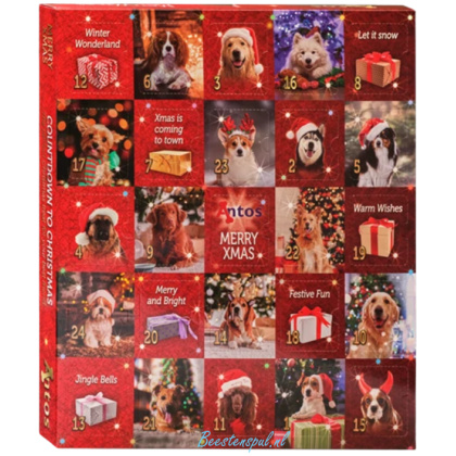Home 12 Antos - Adventskalender Hond