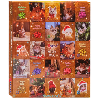 Home 13 Antos - Adventskalender Kat