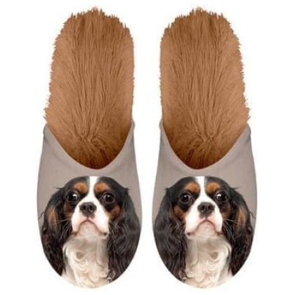 Pantoffels - Cavalier
