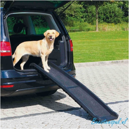 Trixie - Loopplank