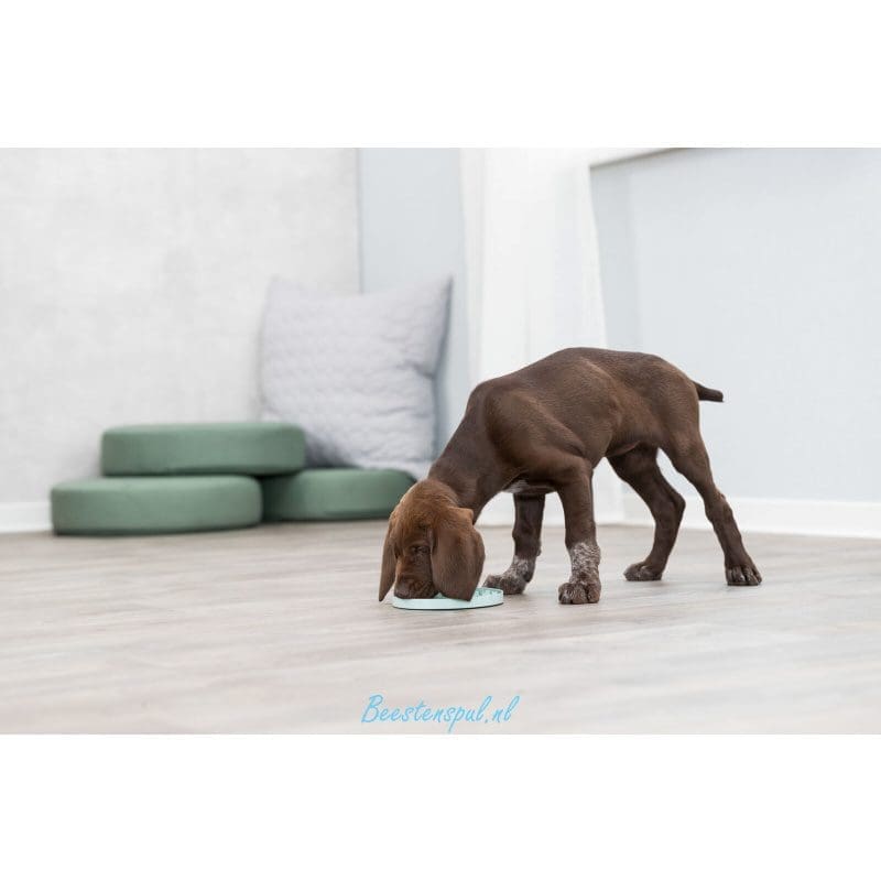 Trixie - Junior Likmat 3 Trixie - Junior Likmat - Afbeelding 3