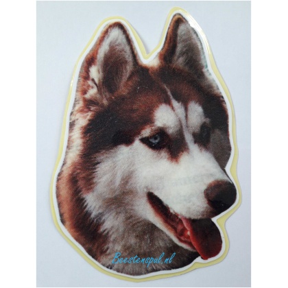 Sticker - Siberian Husky - 12