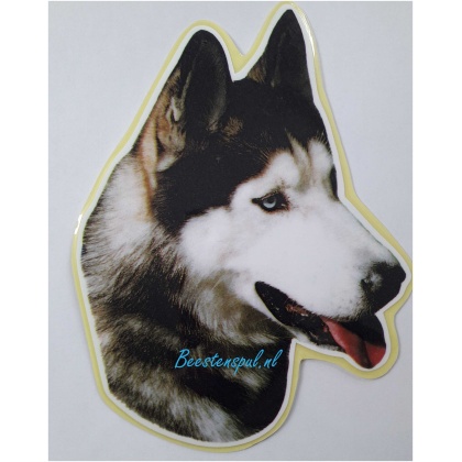 Sticker - Siberian Husky - 13