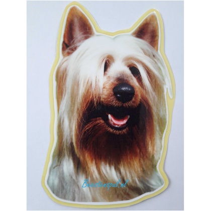 Sticker - Silky Terrier - 1