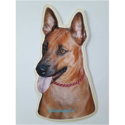 Sticker - Thai Ridgeback - 3