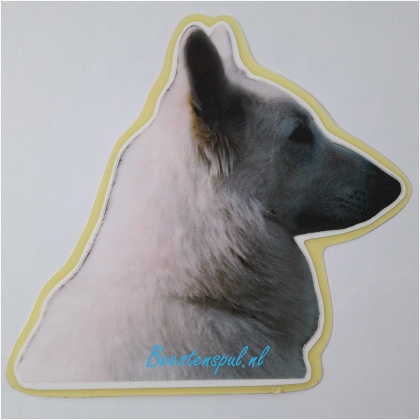 Sticker - Zwitserse Witte Herdershond - 7