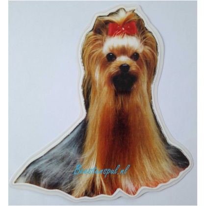 Sticker - Yorkshire Terrier - 3