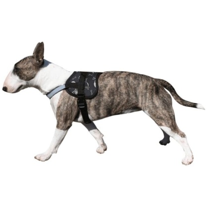 Doxtasy - Tuig - Survival Harness