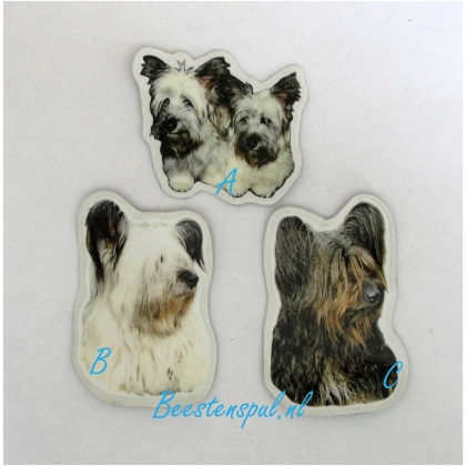 Magneetje - Skye Terrier