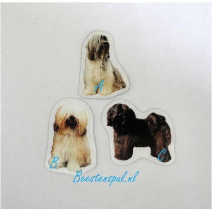 Magneetje - Tibetaanse Spaniel
