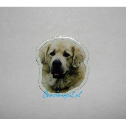 Magneetje - Tibetaanse Mastiff