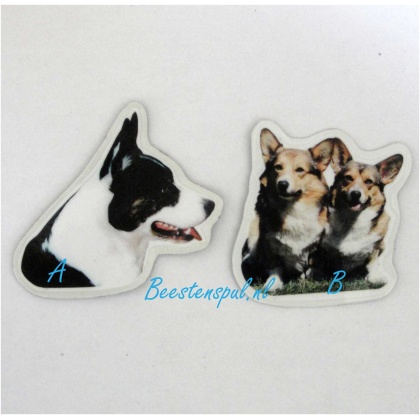 Magneetje - Welsh Corgi