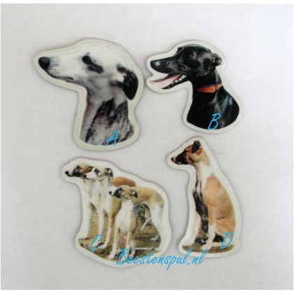 Magneetje - Whippet