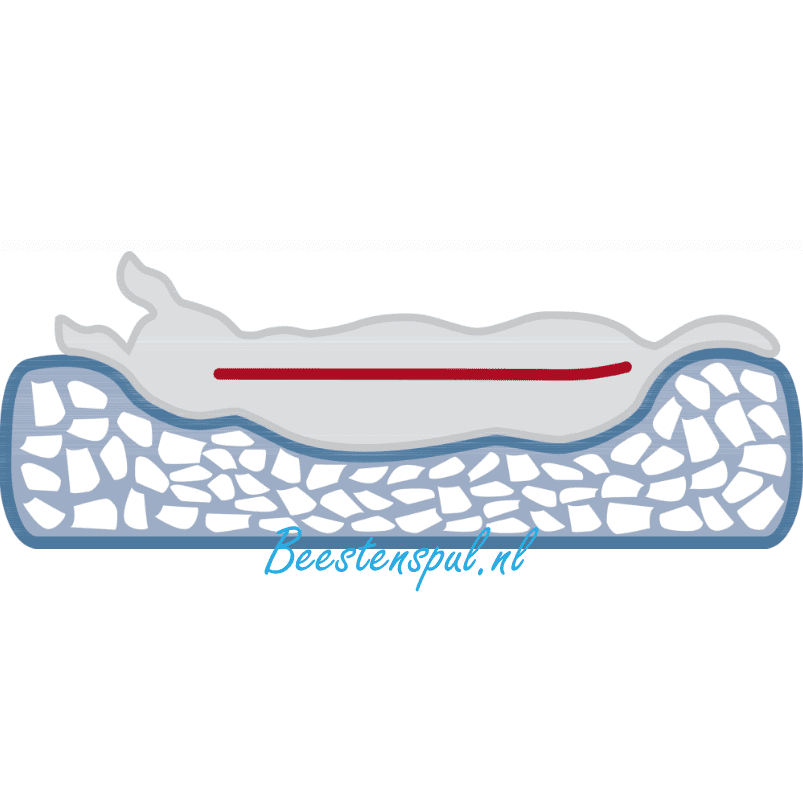 Trixie - Orthopedisch Hondenkussen Bendson 4 Trixie - Orthopedisch Hondenkussen Bendson - Afbeelding 4