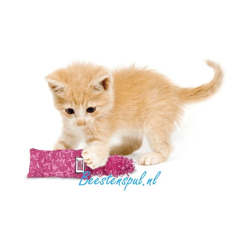 Kong - Kitten Kickeroo 2 Kong - Kitten Kickeroo - Afbeelding 2