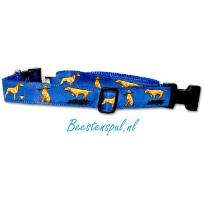 Halsband en Lijn- Set - Vizsla