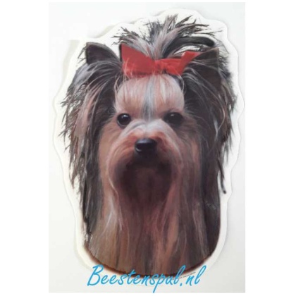 Sticker - Yorkshire Terrier - 6
