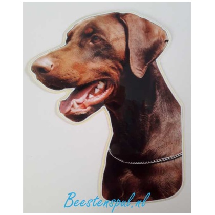 Sticker - Dobermann - 7