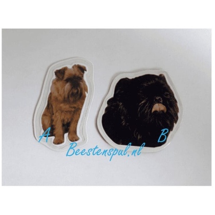 Magneetje - Griffon Belge/Bruxellois