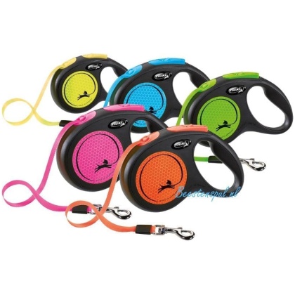 Flexi - New Neon - Band