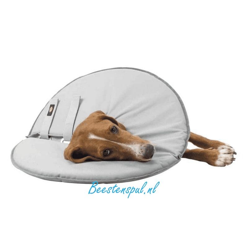 Trixie - Beschermkap 4 Trixie - Beschermkap - Afbeelding 4