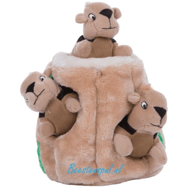 Outward Hound - Hide a Squirrel