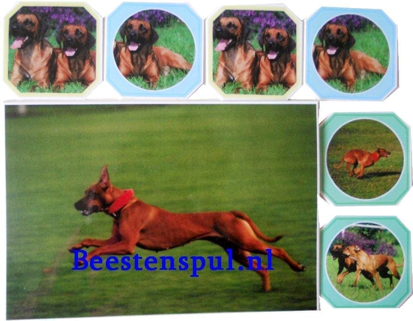 Onderzetter Set - Rhodesian Ridgeback 1 Onderzetter Set - Rhodesian Ridgeback