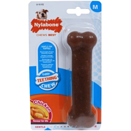 Nylabone - Puppy Chew - M