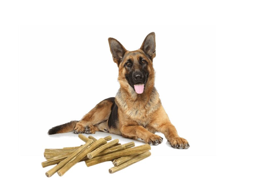 Hond - Kluiven en Snacks