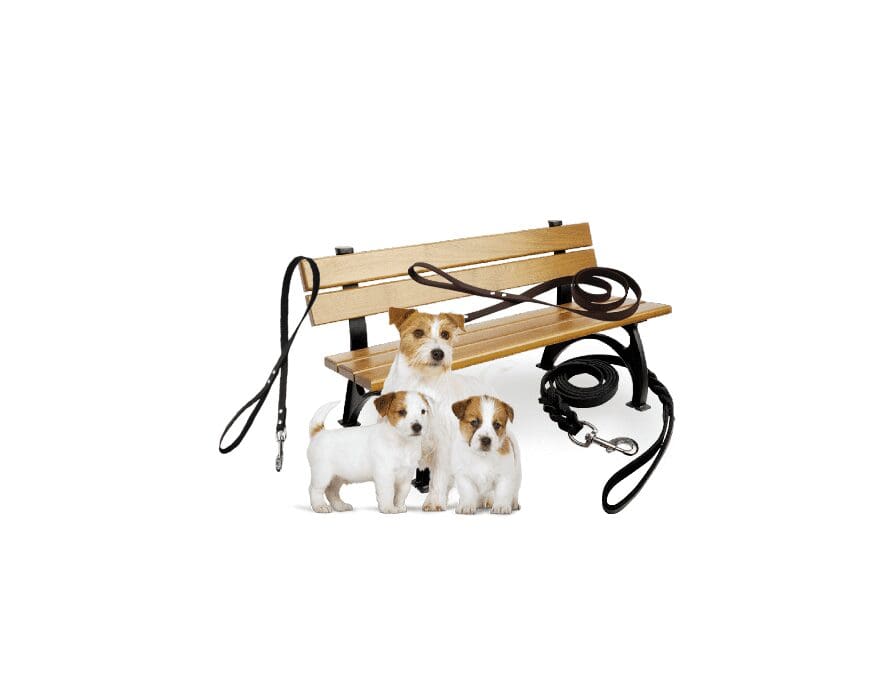 Hond - Lijnen Standaard Model