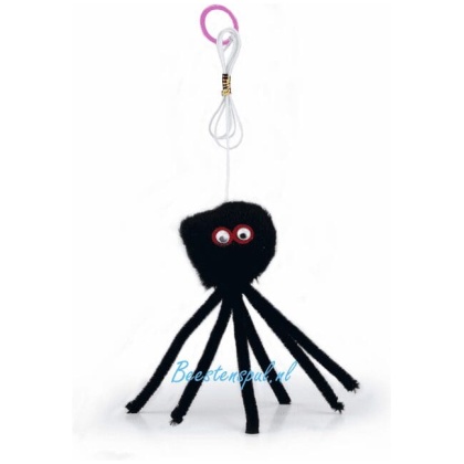 Home 3 Beeztees - Halloween - Spin