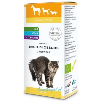 Bach Bloesems