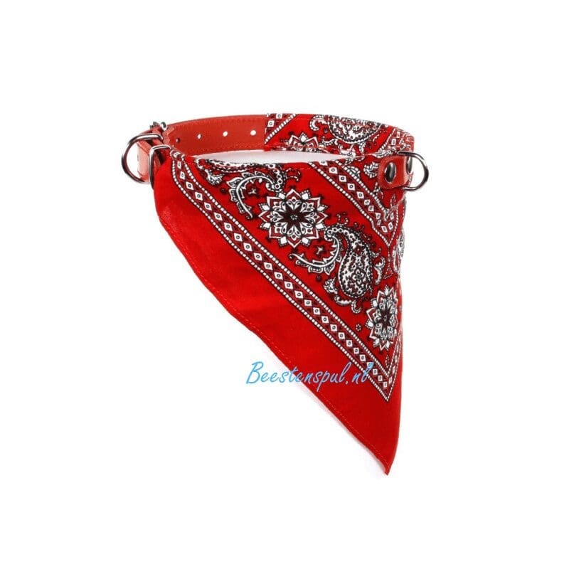 Halsband met Boerenzakdoek 2 Halsband met Boerenzakdoek - Afbeelding 2