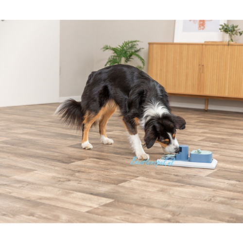Trixie - Dog Activity - Poker Box Vario Strategisch Spel 3 Trixie - Dog Activity - Poker Box Vario Strategisch Spel - Afbeelding 3