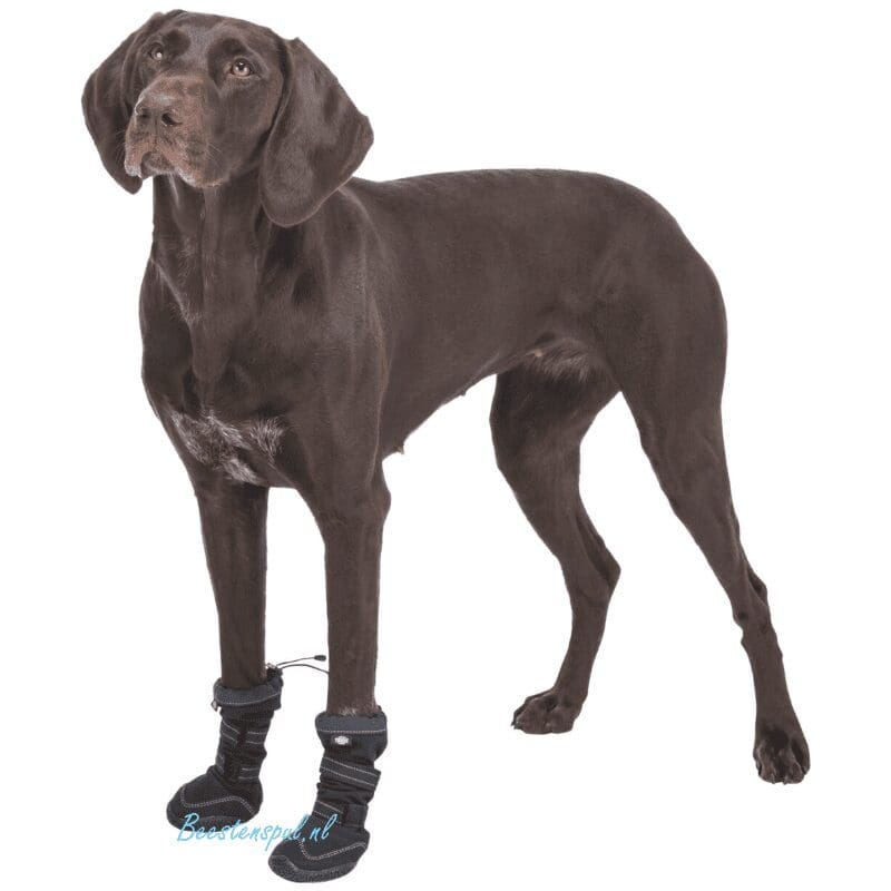 Trixie – Walker Active Schoen - Long 2 Trixie – Walker Active Schoen - Long - Afbeelding 2