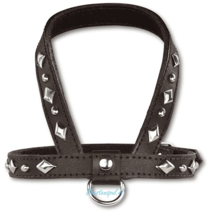 Doxtasy - Tuigje - Inca