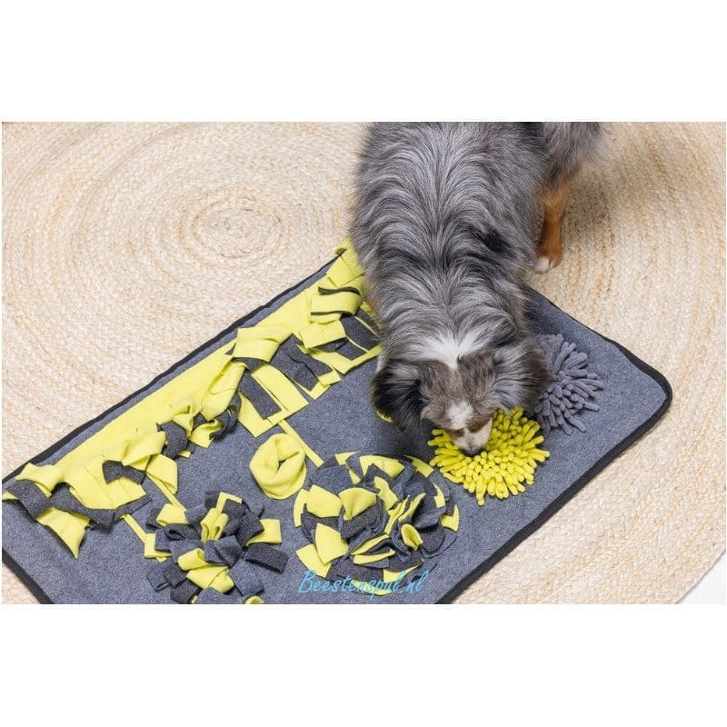 Beeztees - Snuffelmat - Flora 4 Beeztees - Snuffelmat - Flora - Afbeelding 4